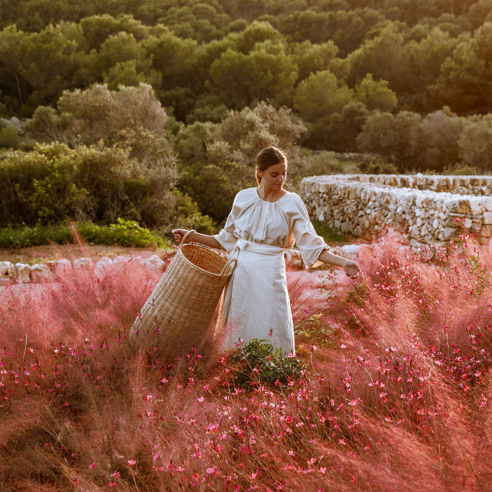 A woman in a white apron gathering flowers with a tall basket in a field of pink grasses, a dry-stone wall and holm oaks behind her.