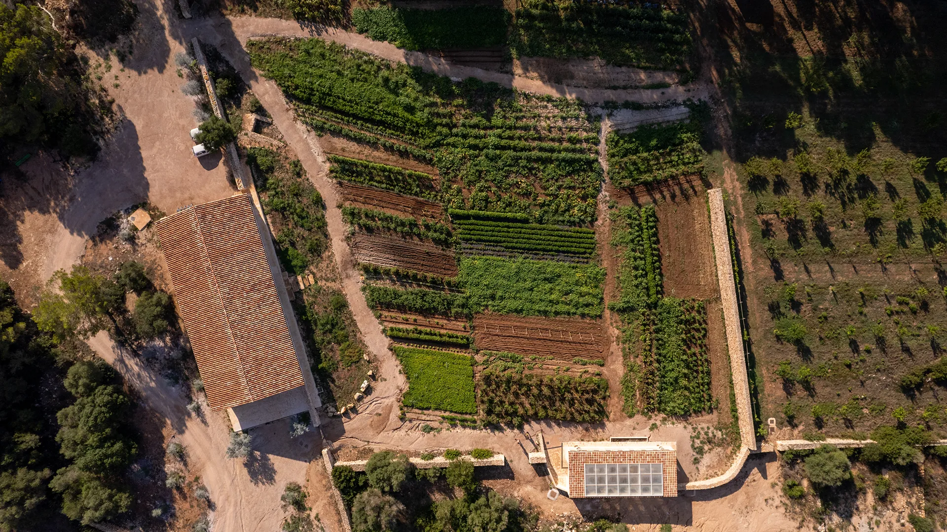 The market garden from the air, long beds of vegetables in different greens laid out in strips beside a tiled farm building and a small glasshouse.